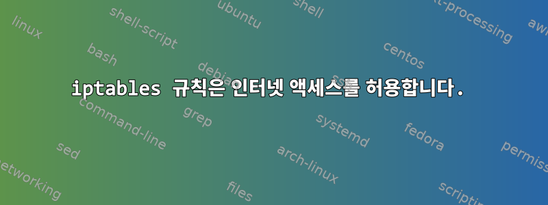 iptables 규칙은 인터넷 액세스를 허용합니다.