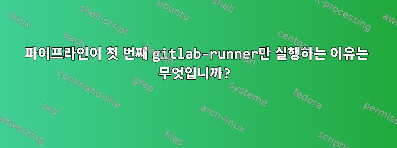 파이프라인이 첫 번째 gitlab-runner만 실행하는 이유는 무엇입니까?