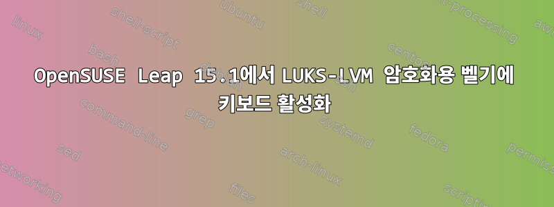 OpenSUSE Leap 15.1에서 LUKS-LVM 암호화용 벨기에 키보드 활성화