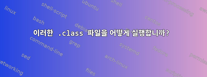 이러한 .class 파일을 어떻게 실행합니까?