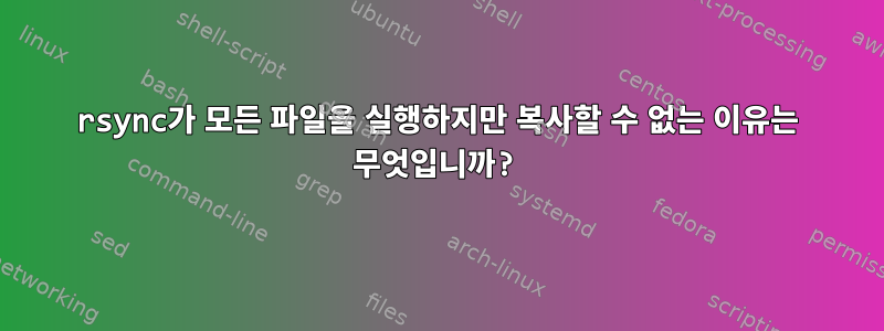 rsync가 모든 파일을 실행하지만 복사할 수 없는 이유는 무엇입니까?