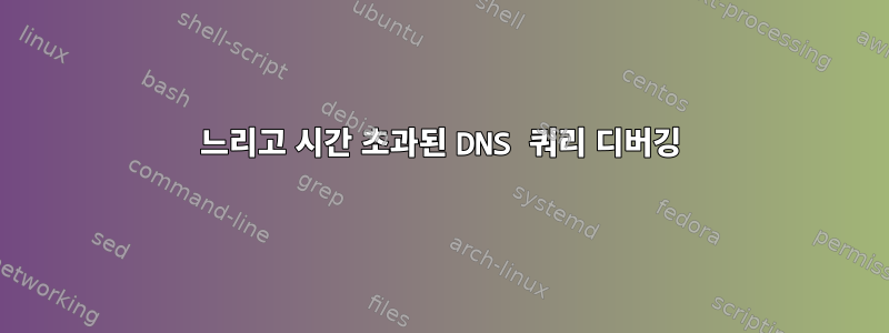 느리고 시간 초과된 DNS 쿼리 디버깅