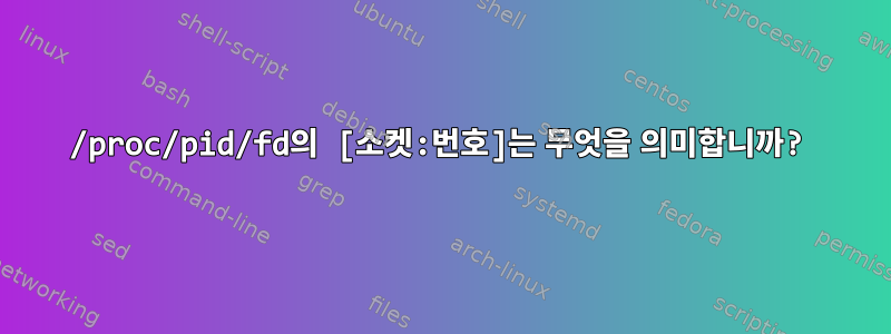 /proc/pid/fd의 [소켓:번호]는 무엇을 의미합니까?