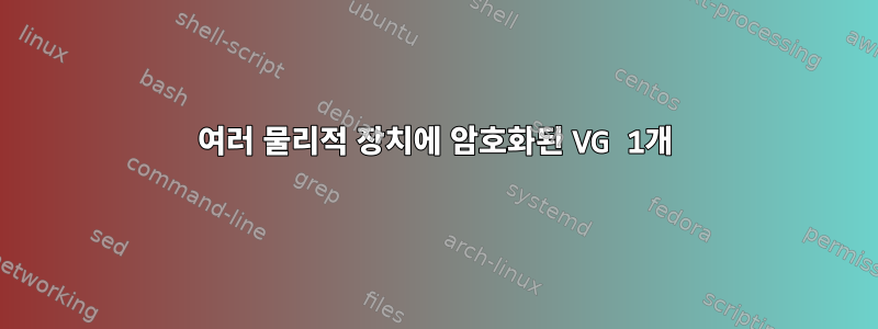 여러 물리적 장치에 암호화된 VG 1개