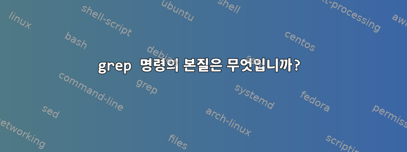 grep 명령의 본질은 무엇입니까?