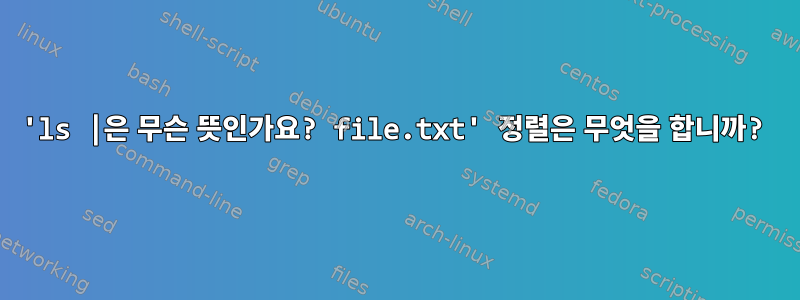 'ls |은 무슨 뜻인가요? file.txt' 정렬은 무엇을 합니까?