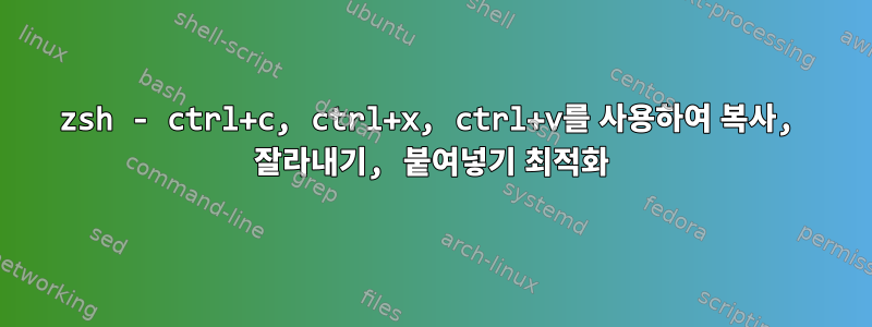 zsh - ctrl+c, ctrl+x, ctrl+v를 사용하여 복사, 잘라내기, 붙여넣기 최적화