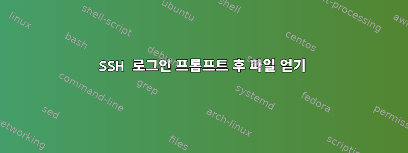 SSH 로그인 프롬프트 후 파일 얻기