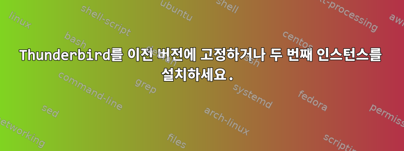 Thunderbird를 이전 버전에 고정하거나 두 번째 인스턴스를 설치하세요.