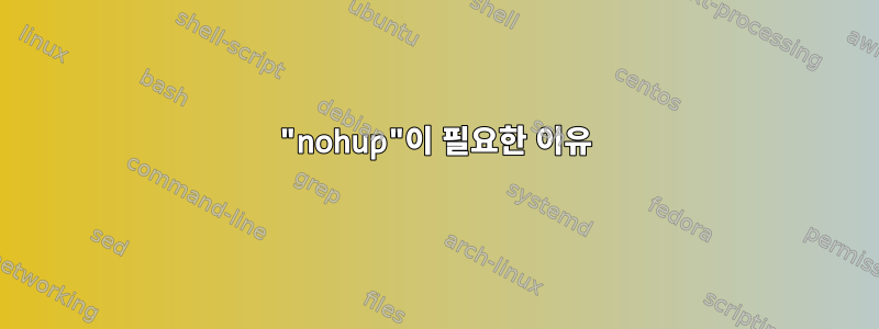 "nohup"이 필요한 이유