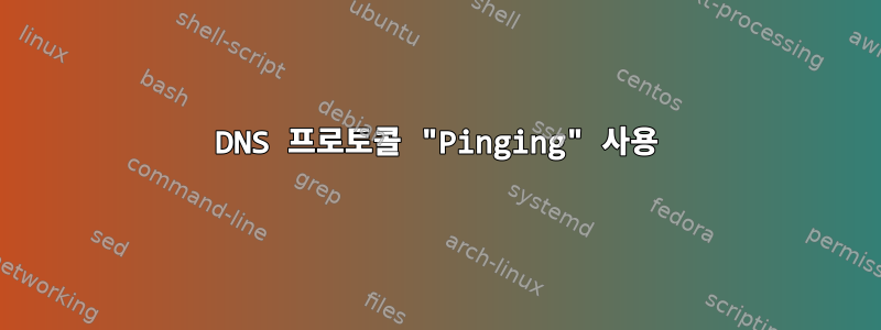 DNS 프로토콜 "Pinging" 사용