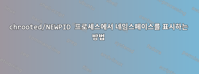 chrooted/NEWPID 프로세스에서 네임스페이스를 표시하는 방법