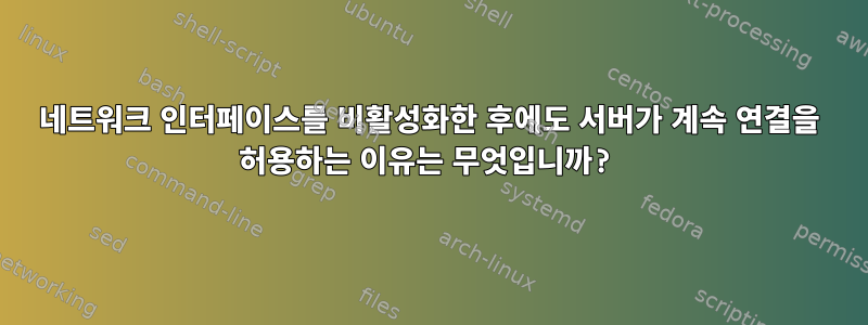 네트워크 인터페이스를 비활성화한 후에도 서버가 계속 연결을 허용하는 이유는 무엇입니까?