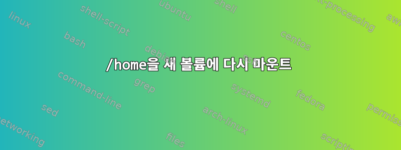 /home을 새 볼륨에 다시 마운트