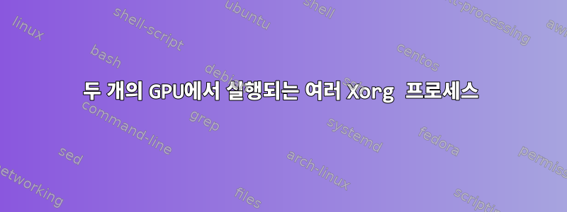 두 개의 GPU에서 실행되는 여러 Xorg 프로세스