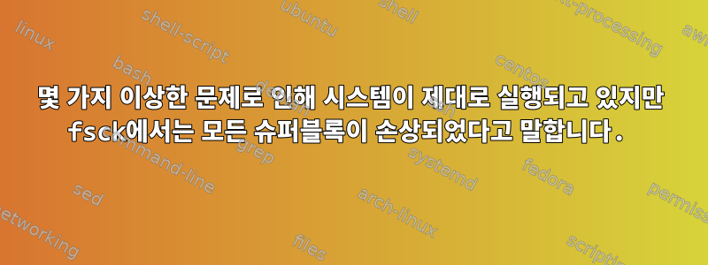 몇 가지 이상한 문제로 인해 시스템이 제대로 실행되고 있지만 fsck에서는 모든 슈퍼블록이 손상되었다고 말합니다.