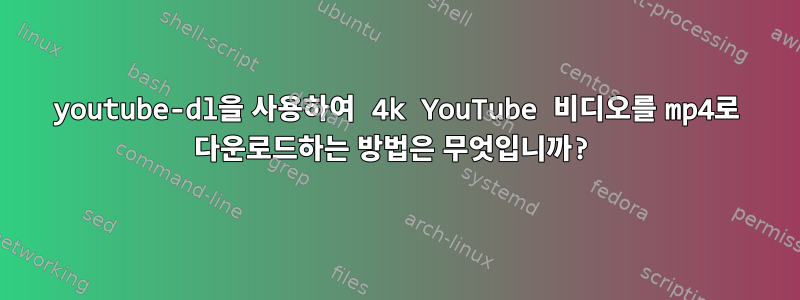 youtube-dl을 사용하여 4k YouTube 비디오를 mp4로 다운로드하는 방법은 무엇입니까?