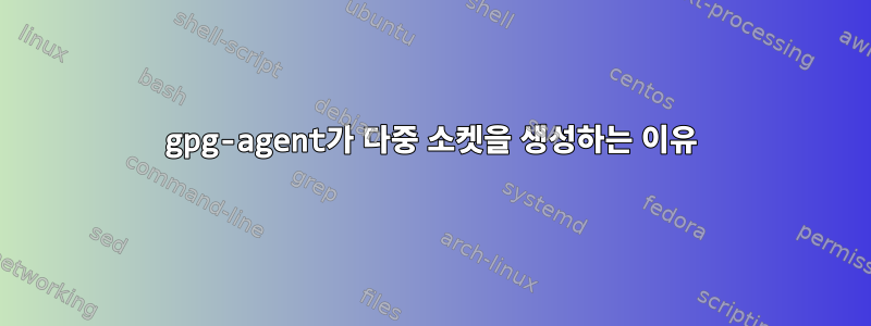 gpg-agent가 다중 소켓을 생성하는 이유