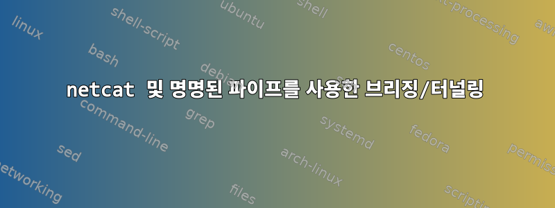 netcat 및 명명된 파이프를 사용한 브리징/터널링