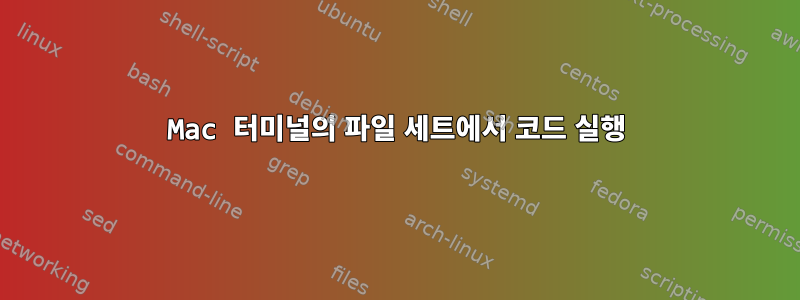 Mac 터미널의 파일 세트에서 코드 실행