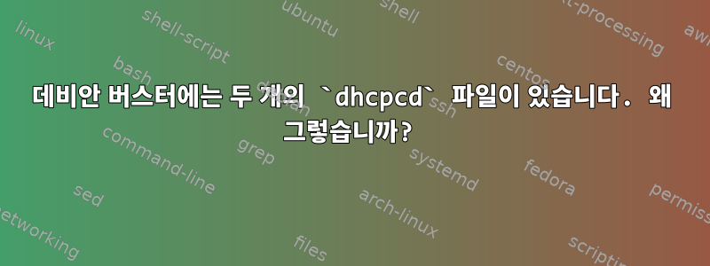 데비안 버스터에는 두 개의 `dhcpcd` 파일이 있습니다. 왜 그렇습니까?