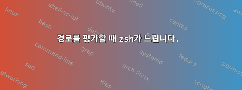 경로를 평가할 때 zsh가 느립니다.