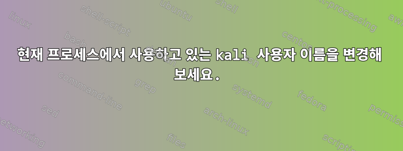 현재 프로세스에서 사용하고 있는 kali 사용자 이름을 변경해 보세요.