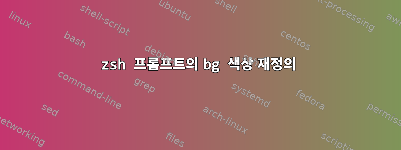 zsh 프롬프트의 bg 색상 재정의