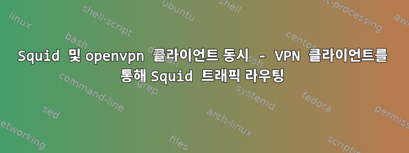 Squid 및 openvpn 클라이언트 동시 - VPN 클라이언트를 통해 Squid 트래픽 라우팅