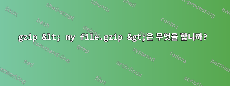 gzip &lt; my file.gzip &gt;은 무엇을 합니까?