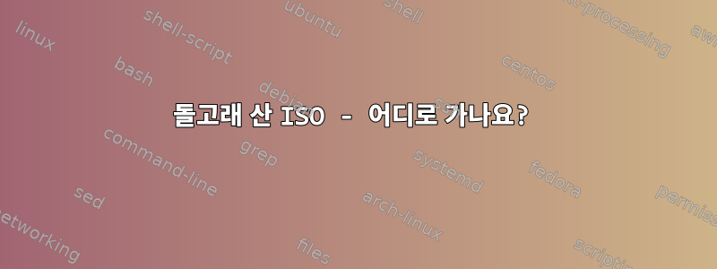 돌고래 산 ISO - 어디로 가나요?