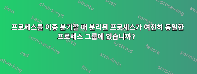 프로세스를 이중 분기할 때 분리된 프로세스가 여전히 동일한 프로세스 그룹에 있습니까?