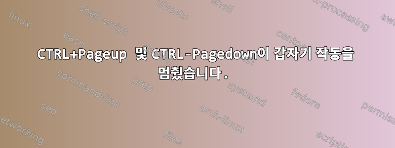 CTRL+Pageup 및 CTRL-Pagedown이 갑자기 작동을 멈췄습니다.