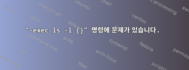 "-exec ls -l {}" 명령에 문제가 있습니다.