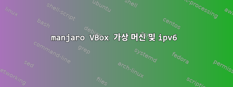 manjaro VBox 가상 머신 및 ipv6