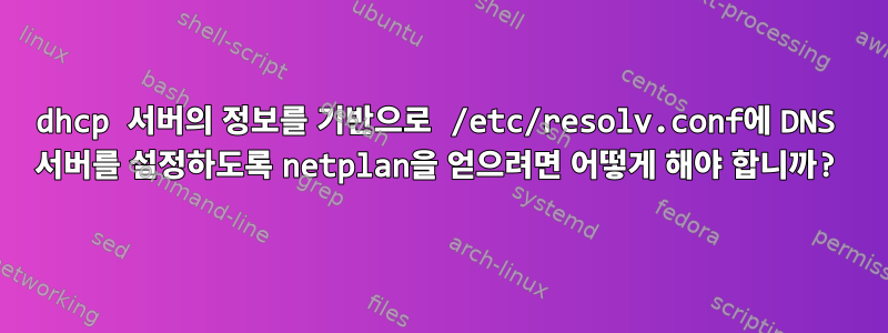 dhcp 서버의 정보를 기반으로 /etc/resolv.conf에 DNS 서버를 설정하도록 netplan을 얻으려면 어떻게 해야 합니까?