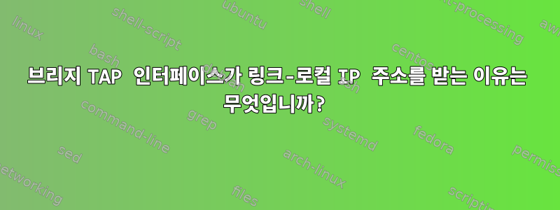 브리지 TAP 인터페이스가 링크-로컬 IP 주소를 받는 이유는 무엇입니까?