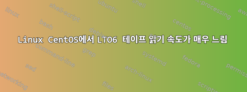 Linux CentOS에서 LTO6 테이프 읽기 속도가 매우 느림