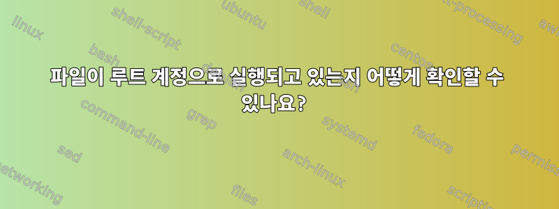 파일이 루트 계정으로 실행되고 있는지 어떻게 확인할 수 있나요?