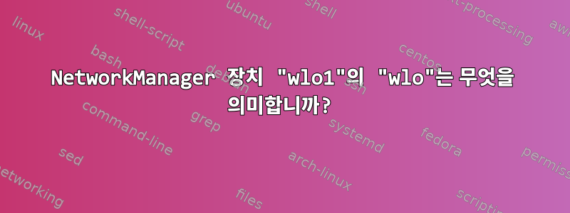 NetworkManager 장치 "wlo1"의 "wlo"는 무엇을 의미합니까?