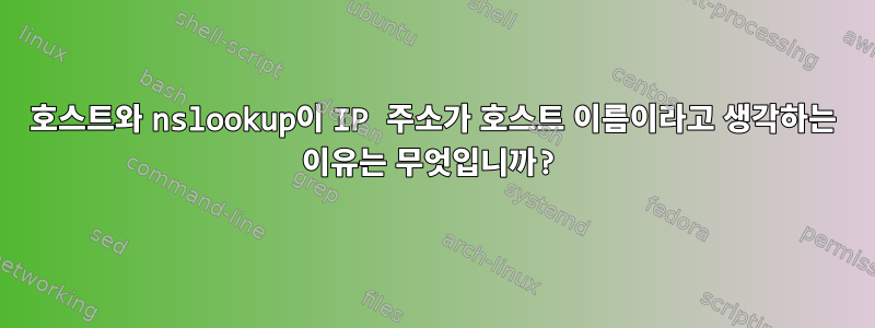 호스트와 nslookup이 IP 주소가 호스트 이름이라고 생각하는 이유는 무엇입니까?