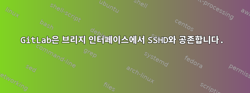 GitLab은 브리지 인터페이스에서 SSHD와 공존합니다.