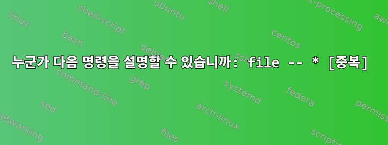 누군가 다음 명령을 설명할 수 있습니까: file -- * [중복]