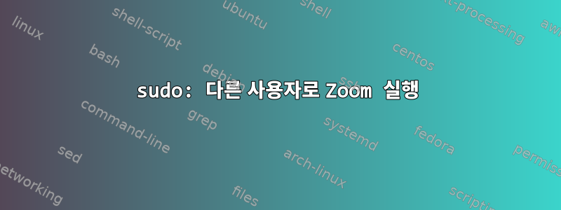 sudo: 다른 사용자로 Zoom 실행