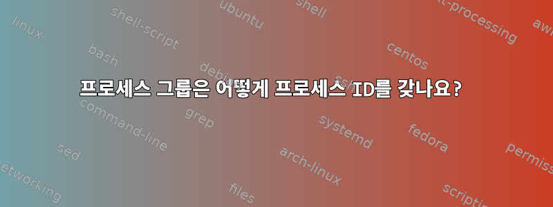 프로세스 그룹은 어떻게 프로세스 ID를 갖나요?