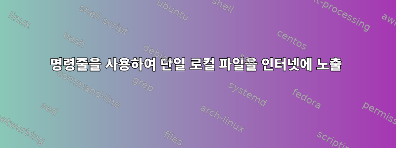 명령줄을 사용하여 단일 로컬 파일을 인터넷에 노출