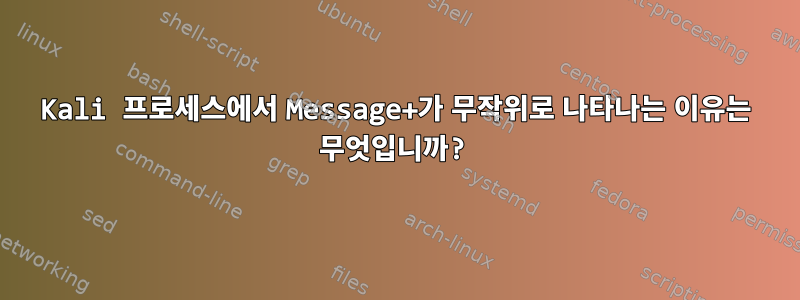 Kali 프로세스에서 Message+가 무작위로 나타나는 이유는 무엇입니까?