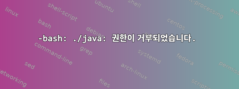 -bash: ./java: 권한이 거부되었습니다.