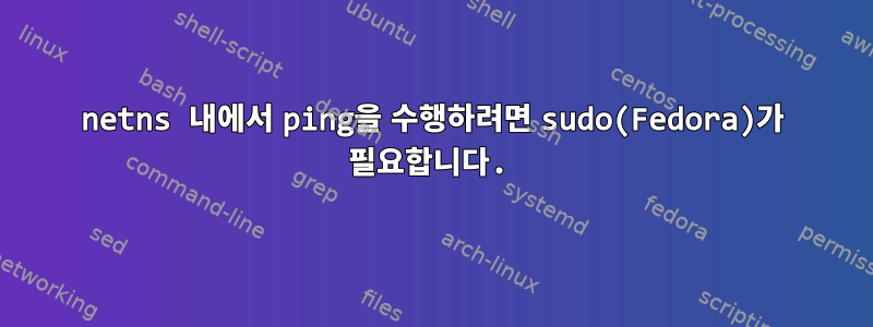 netns 내에서 ping을 수행하려면 sudo(Fedora)가 필요합니다.