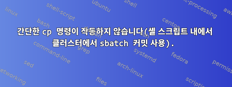 간단한 cp 명령이 작동하지 않습니다(셸 스크립트 내에서 클러스터에서 sbatch 커밋 사용).